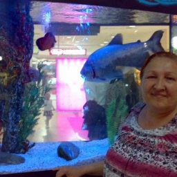 ������ ���������, ��������, 71 ���