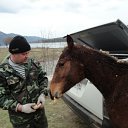 ���� ����������, ����������, 58 ��� - ��������� 10 ��� 2012 � ������ ���� ����������