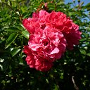 ���� ����@, ��������, 62 ���� - ��������� 5 ���� 2010 � ������ ��������� �������