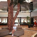 ���� ����, �������, 27 ��� - ��������� 28 ����� 2011 � ������ ���� ����������