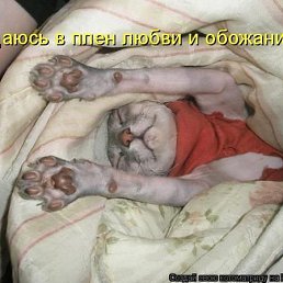 ���� �����, ������� - ��������� 6 ������� 2010