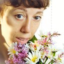  , -, 50  -  27  2013    