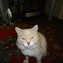 ���� ������, �����������, 36 ��� - ��������� 21 �������� 2011 � ������ ��������� ��� � ���� ������