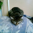 ���� �, �����-���������, 50 ��� - ��������� 16 �������� 2010 � ������ ���������