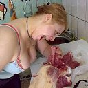  , , 56  -  30  2010   ...