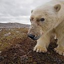 ���� ����� - ���������� ��������!!!, �����������, 56 ��� - ��������� 20 ������� 2009 � ������ ������������� ��������� � ��������� ���!�