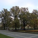  Serzh Van Der Maaremaan,  -  22  2009     