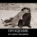 ���� Irina ��������, ����� - ��������� 16 ����� 2013 � ������ ������ ��������