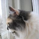 ���� ���, ������������ - ��������� 24 ������ 2012 � ������ ������