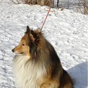 ���� ����, ������, 58 ��� - ��������� 17 ������� 2012 � ������ ���� ����������