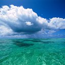 ���� &deg;&bull;*������&deg;&bull;*, ����������, 23 ���� - ��������� 3 ���� 2010 � ������ ��������!�