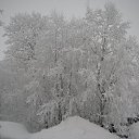  , , 36  -  20  2010    .