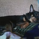 ���� �������, ���������, 52 ���� - ��������� 6 ���� 2013 � ������ ����� ��� ������������