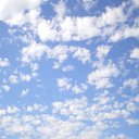 ���� Dimarik 7475, ������, 50 ��� - ��������� 6 ������ 2010 � ������ �PetLove�