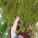  , , 68  -  3  2010   -2010