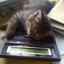  , , 44  -  23  2010    :)