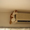 ���� Djss, ������, 59 ��� - ��������� 23 �������� 2011 � ������ ���������