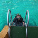 ���� ������, ����������, 66 ��� - ��������� 27 ��� 2013 � ������ ���� ����������