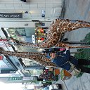 ���� Gleb, �����������, 63 ���� - ��������� 12 ���� 2013 � ������ ���� ����������