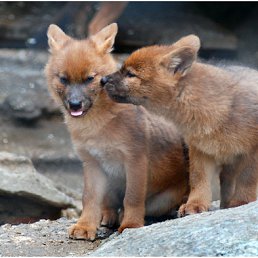 ���� �����@, ����������� - ��������� 8 ������ 2010