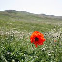 ���� ����������, ����, 75 ��� - ��������� 17 ������ 2012 � ������ �����-3�