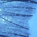 ���� �����, ������, 41 ��� - ��������� 30 ������ 2013 � ������ ����������