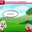  , , 24  -  1  2010   PetLove