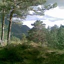 ���� �������, �����������, 60 ��� - ��������� 29 �������� 2011 � ������ ���� ����������