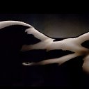 ���� �����, ����� - ��������� 17 ����� 2012 � ������ ���� ����������