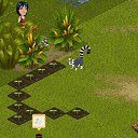  , , 23  -  20  2012   Tropikania