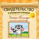 ���� �������, ������������, 50 ��� - ��������� 25 ������ 2010 � ������ �������� ��������