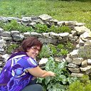  , , 70  -  26  2012    2012 