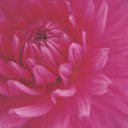 ���� ����� - ���������� ��������!!!, �����������, 56 ��� - ��������� 11 ������ 2010 � ������ ����������