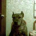 ���� ������, ������, 50 ��� - ��������� 13 ������� 2012 � ������ �������