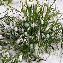 ���� ��������, ������-��-����, 57 ��� - ��������� 18 ������ 2013 � ������ ������ ��������