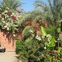 ���� ���������, ������� - ��������� 31 ���� 2012 � ������ �������