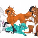 ���� �����, ������ - ��������� 9 ������� 2012 � ������ ���������