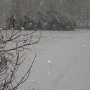 ���� ���������, �����-��������� - ��������� 10 ������ 2009 � ������ �������...�