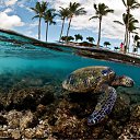 ���� ����(stanislav � ������ ����...), ������ - ��������� 18 ��� 2012 � ������ �*�