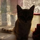 ���� �������, ������� - ��������� 2 ������� 2012 � ������ �������