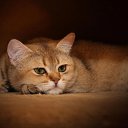 ���� Edgarihe, ����������� - ��������� 5 ������� 2011 � ������ ����� �������� ���