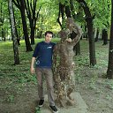  ˸ , , 41  -  11  2012    