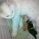 ���� ���������, ����, 53 ���� - ��������� 5 ������� 2012 � ������ ������