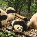 ���� ����. ��������� �� ��!, ������, 72 ���� - ��������� 27 ����� 2011 � ������ ��������߻