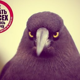 ���� Cthutq, ������������, 47 ��� - ��������� 21 ����� 2013