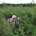 ���� �������, ������������, 69 ��� - ��������� 22 ���� 2012 � ������ ���� ����������