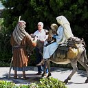 ���� �����, �����������, 79 ��� - ��������� 9 ��� 2012