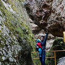 ���� ����, ������-��-����, 37 ��� - ��������� 20 ������ 2013 � ������ ��������