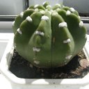 ���� ������, �������, 64 ���� - ��������� 16 ���� 2011 � ������ �����Ȼ