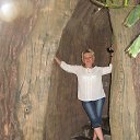 ��� � ! �� ������� ���� ����������